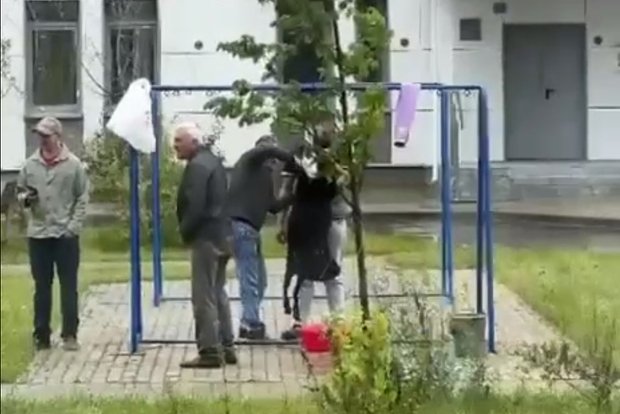 Вводная картинка