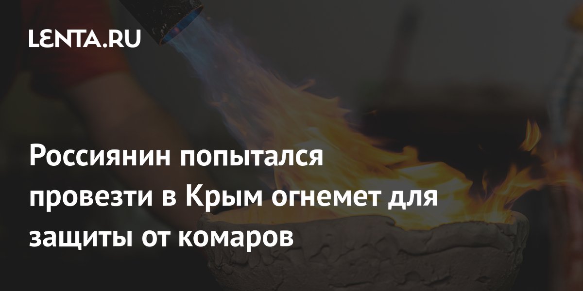 Россиянин попытался провезти в Крым огнемет для защиты от комаров
