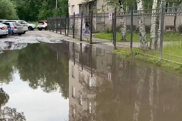 Вводная картинка