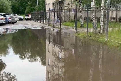 В Петербурге пожаловались на 15-летнюю лужу