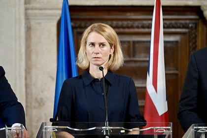 Доклад Каллас по Израилю назвали ударом в спину