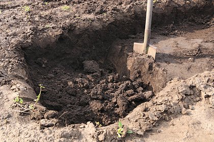 Россияне захотели построить новую трассу и нашли поселение возрастом 7 тысяч лет
