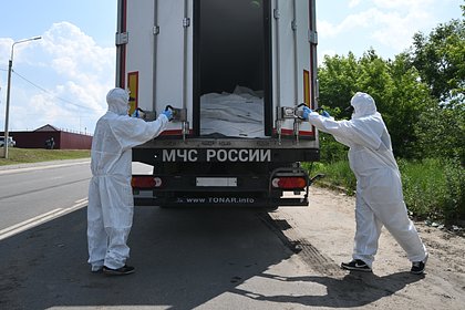 Стала известна причина обвинений Киева в подлоге при обмене тел