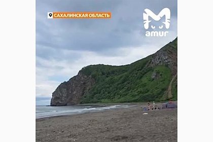 Задумчивый медведь прогулялся по пляжу на Сахалине рядом с отдыхающими