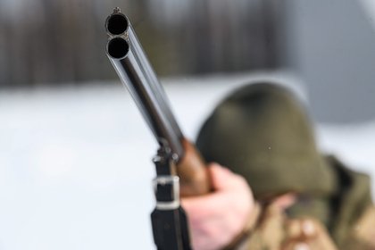 Россиянин стрелял из окна в прохожих и животных