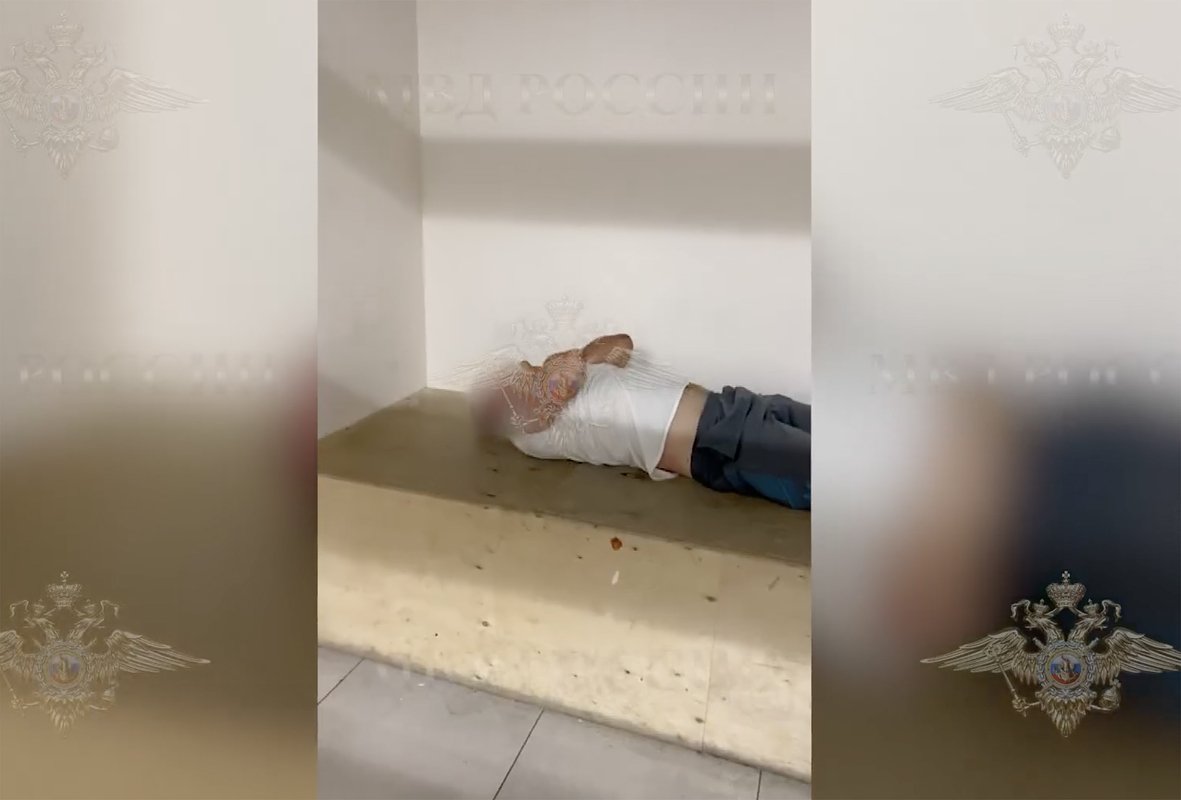 Задержанный за нападение на ребенка в аэропорту Шереметьево