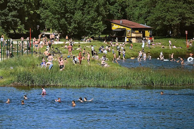 Вводная картинка
