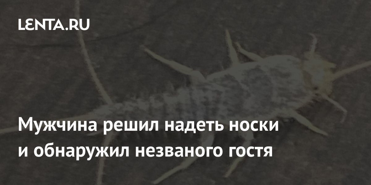 Мужчина решил надеть носки и обнаружил незваного гостя