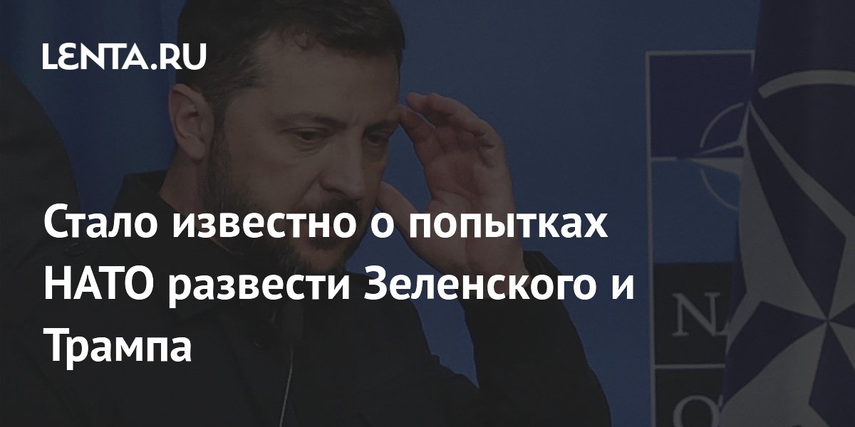 Стало известно о попытках НАТО развести Зеленского и Трампа