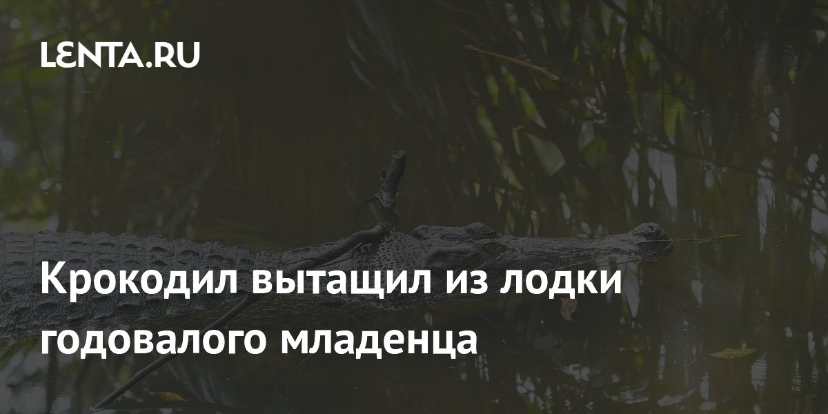 Крокодил вытащил из лодки годовалого младенца