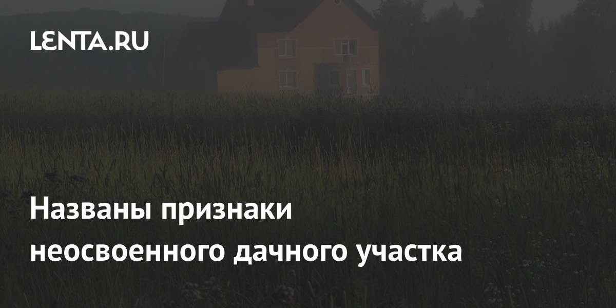 Названы признаки неосвоенного дачного участка