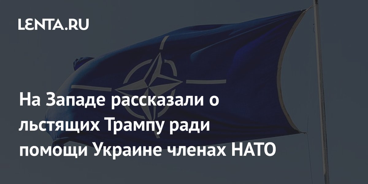 На Западе рассказали о льстящих Трампу ради помощи Украине членах НАТО