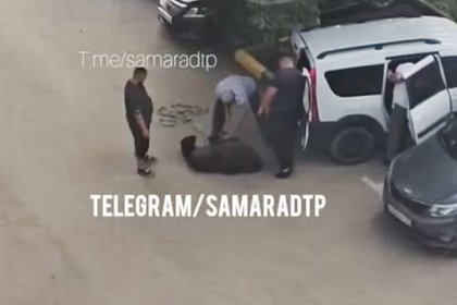 Появилось видео с мигрантами и бараном во дворе жилого дома в России