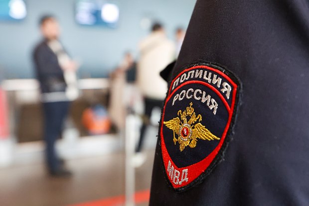Вводная картинка