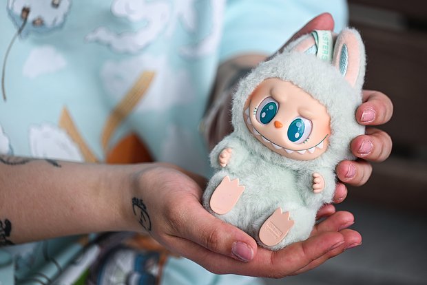 Вводная картинка