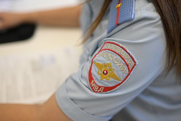 Вводная картинка