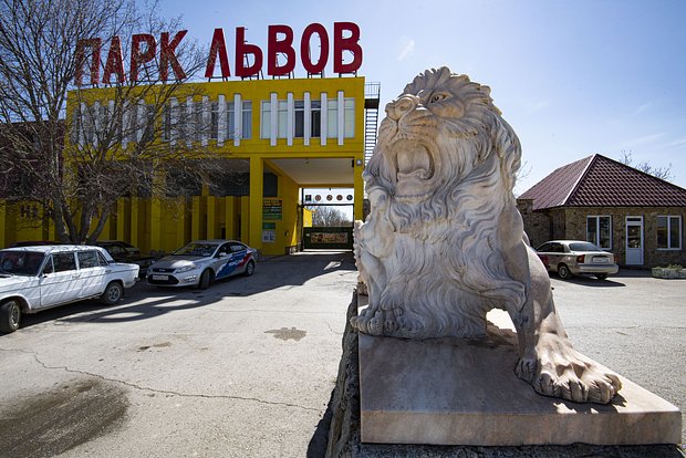 Вводная картинка