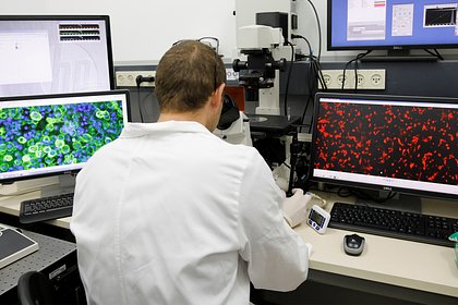 Назван указывающий на риск сердечного приступа анализ