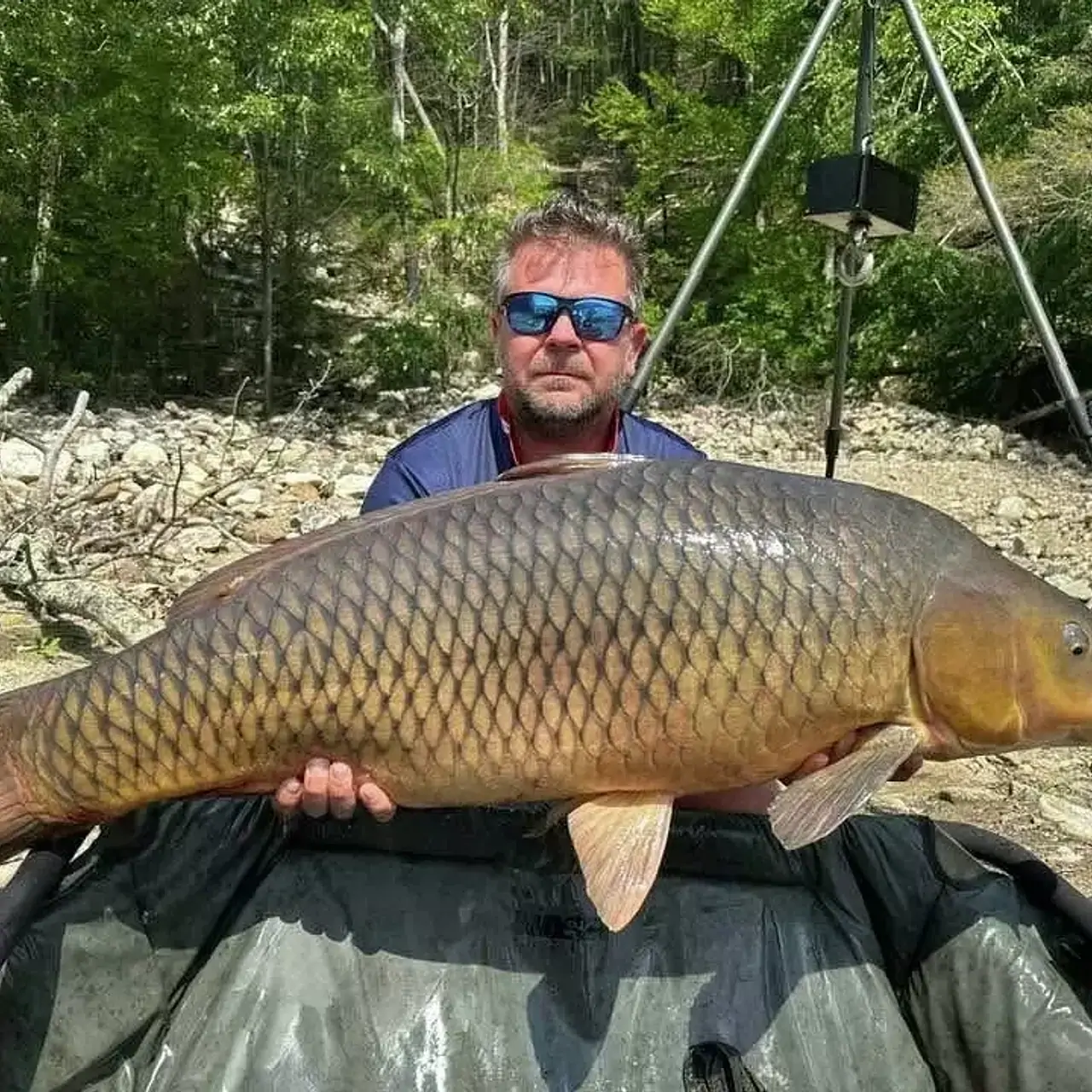 Рыболов поймал рекордного карпа величиной с небольшого бегемота