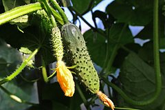 news_image 