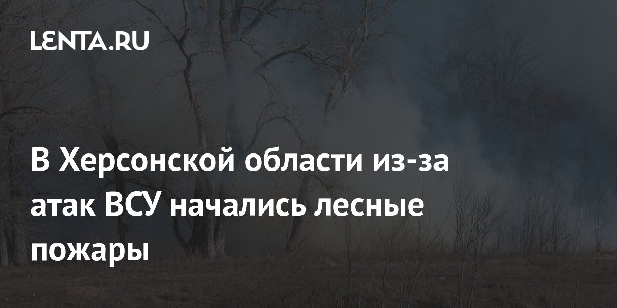 В Херсонской области из-за атак ВСУ начались лесные пожары