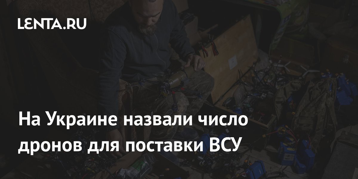 На Украине назвали число дронов для поставки ВСУ