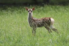 Архивное фото
