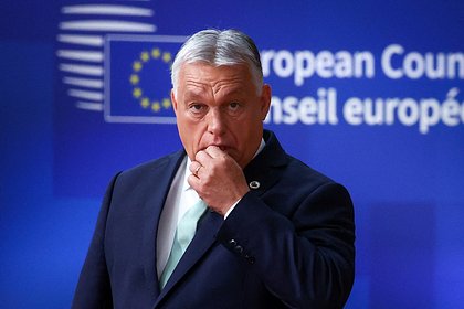 В Европе предрекли начало третьей мировой войны в случае вступления Украины в НАТО