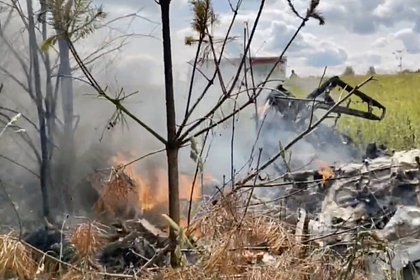 Появилось видео с места крушения самолета в Подмосковье
