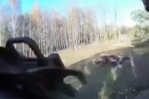 Вводная картинка