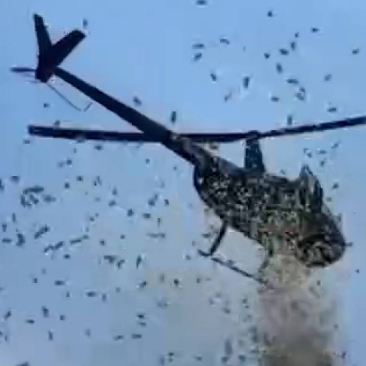 Денежный дождь прошел в США