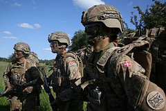 Дания начнет принимать на военную службу граждан с проблемами здоровья