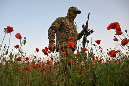 ВСУ отправили медиков командовать взводами