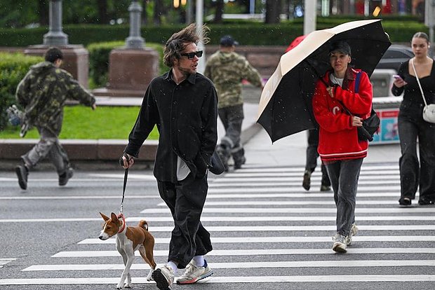 Вводная картинка