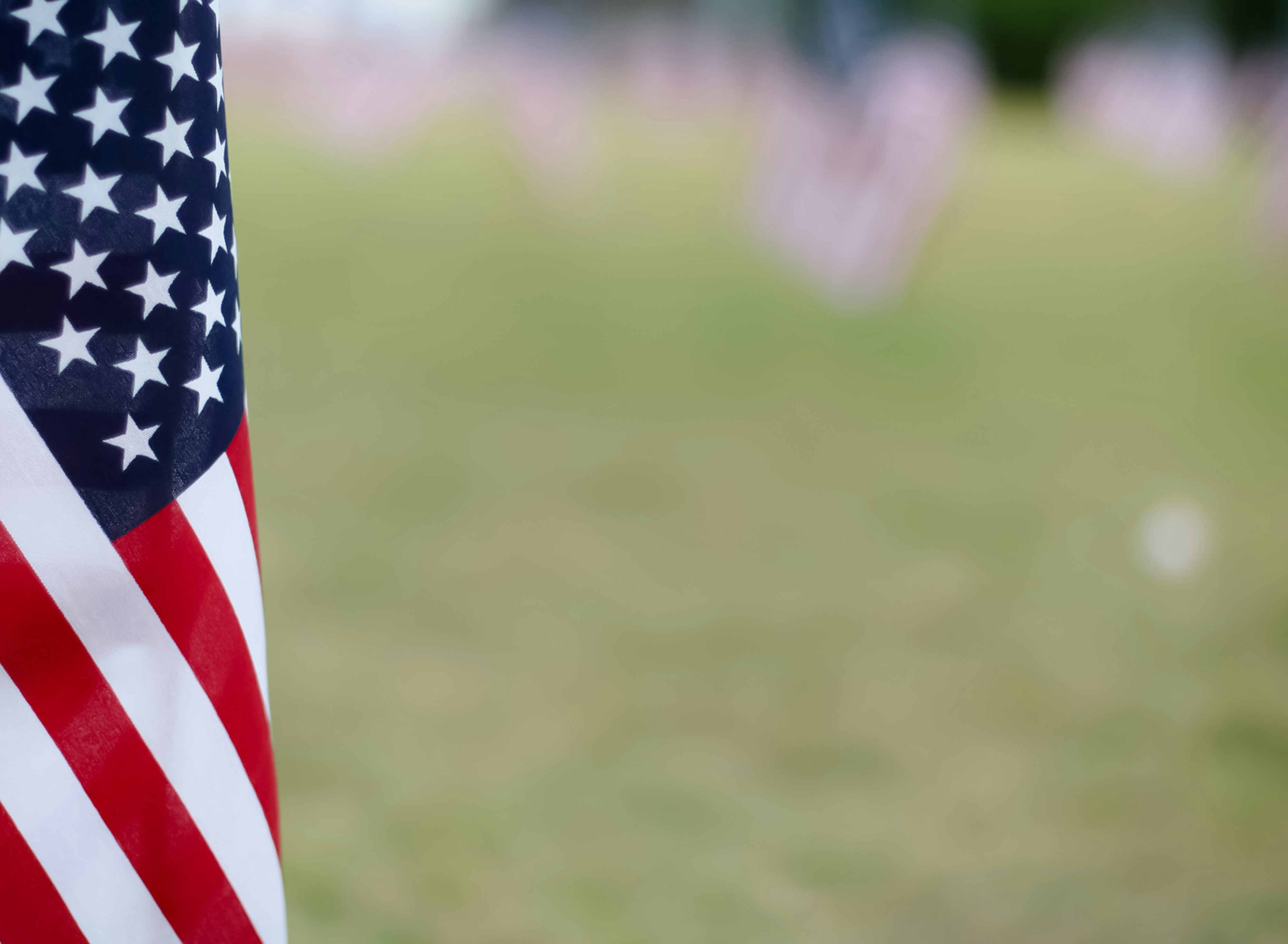        Patriot  Stinger
