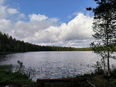Вводная картинка