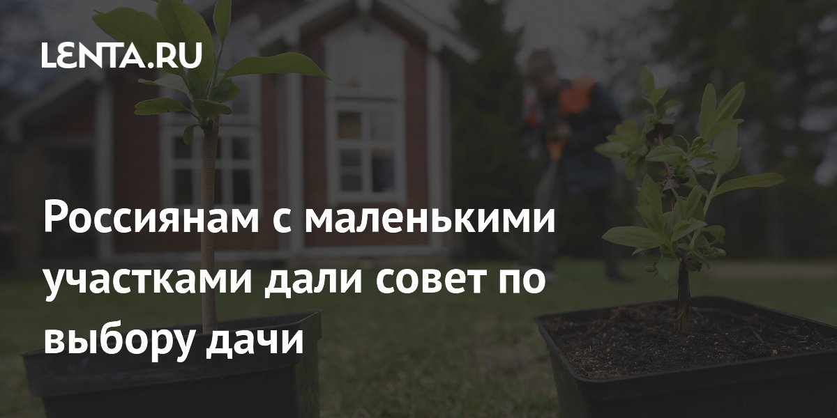 Россиянам с маленькими участками дали совет по выбору дачи