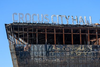 Срок подготовки атаковавших «Крокус» террористов раскрыли