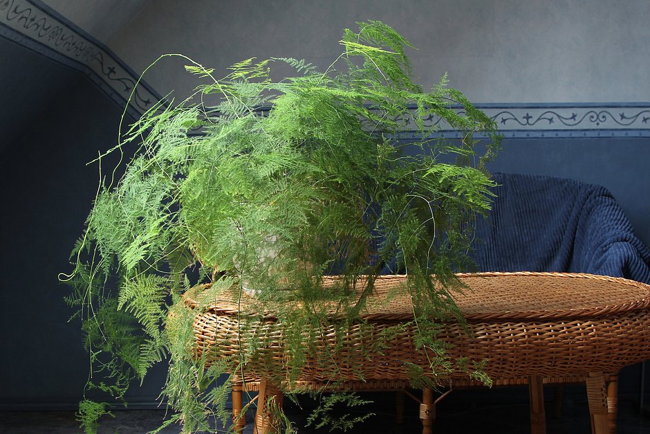 Ежелгі Рим туралы толық метражды порнофильм