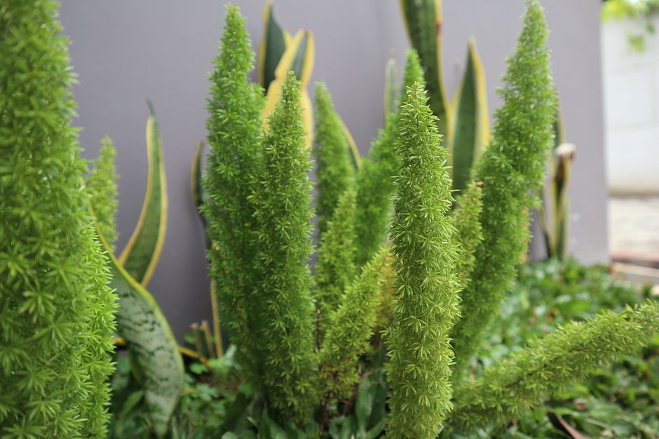 Сұлу қыздар жалаңаш шомылып, камераға бөксесін көрсетеді.