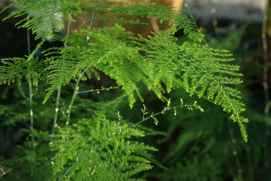 Порно: ебля медбике