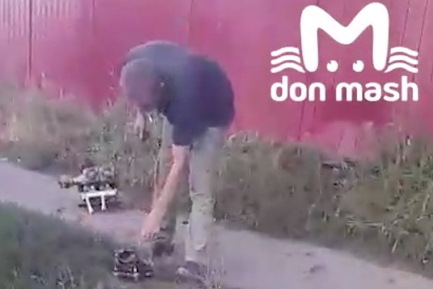 Вводная картинка