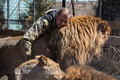 Директор парка «Тайган» высказался об отношении ко львам после нападения