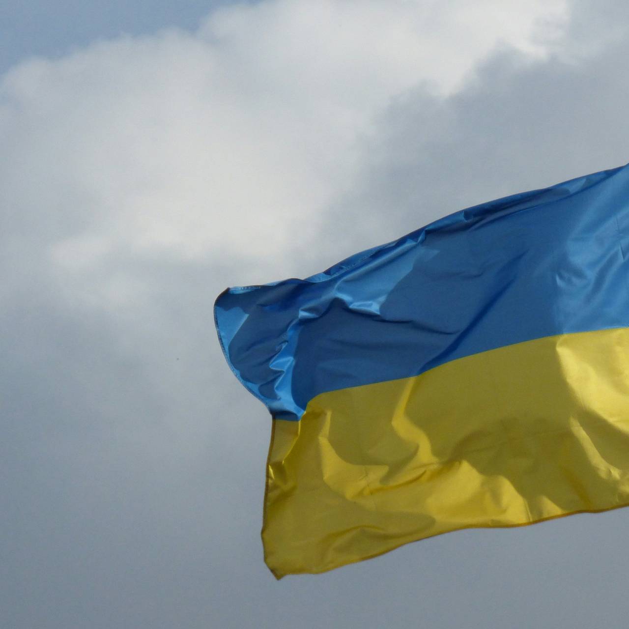 Фото: Foxie EdianiaK / Unsplash