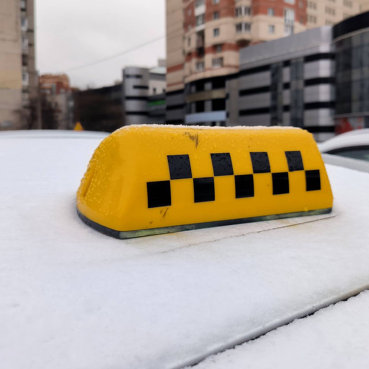 Фото: Maksim Konstantinov / Global Look Press