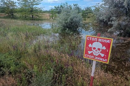 ВСУ использовали запрещенные конвенциями мины в Курской области