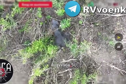 Бои с украинскими отрядами у российской границы сняли на видео