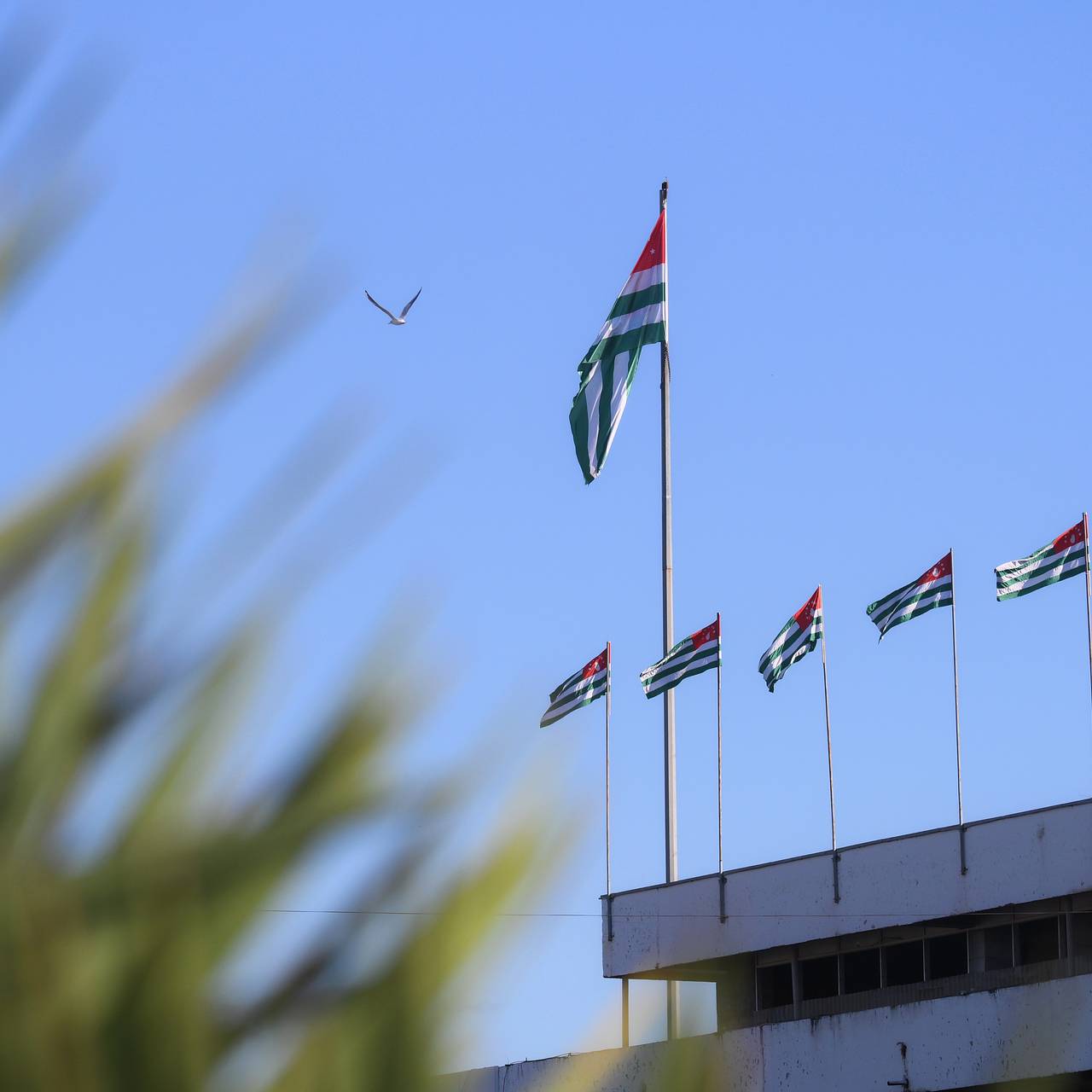 В Абхазии извинились за слова о российских туристах