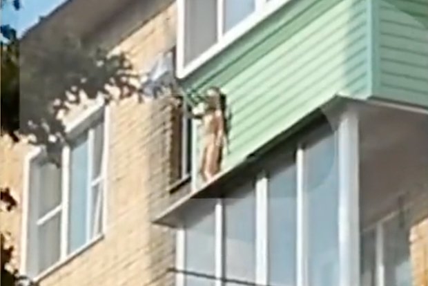 Вводная картинка
