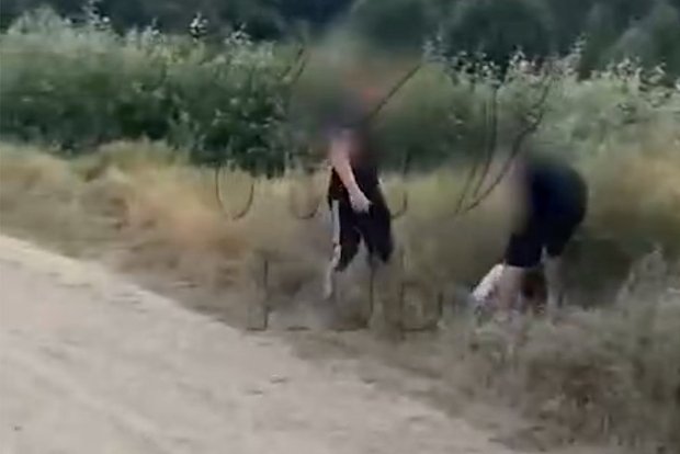 Вводная картинка